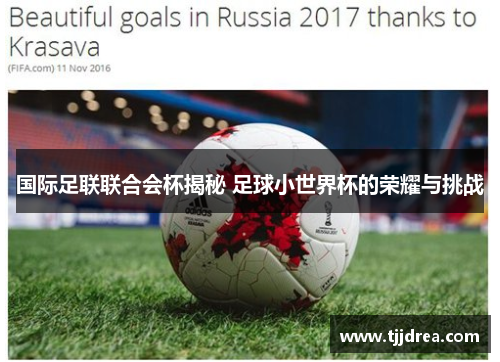 国际足联联合会杯揭秘 足球小世界杯的荣耀与挑战