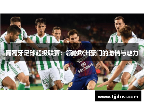 葡萄牙足球超级联赛：领略欧洲豪门的激情与魅力