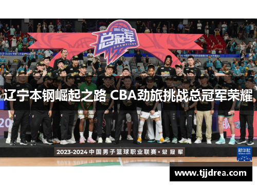 辽宁本钢崛起之路 CBA劲旅挑战总冠军荣耀